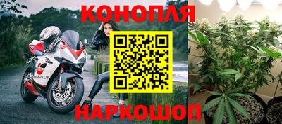 гидропоника Гусев