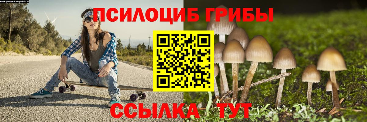 Миасс  Галлюциногенные грибы Psilocybe  Вход с VPN 